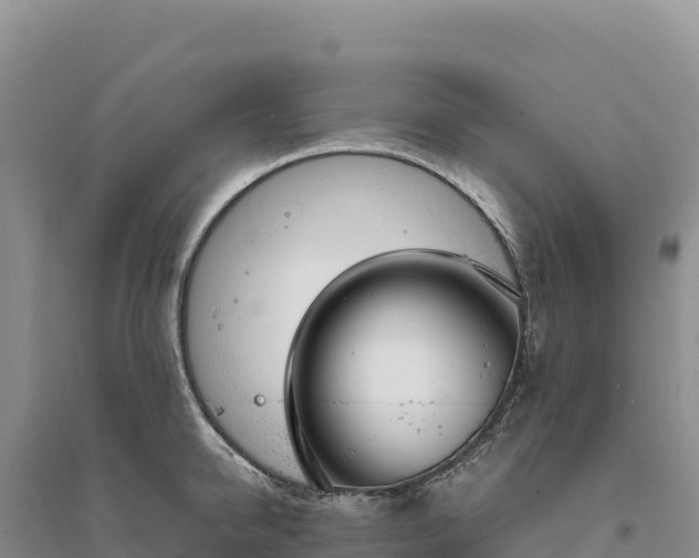 X0000094360950200711091512