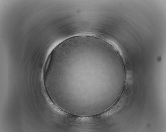 X0000094360952200711091512