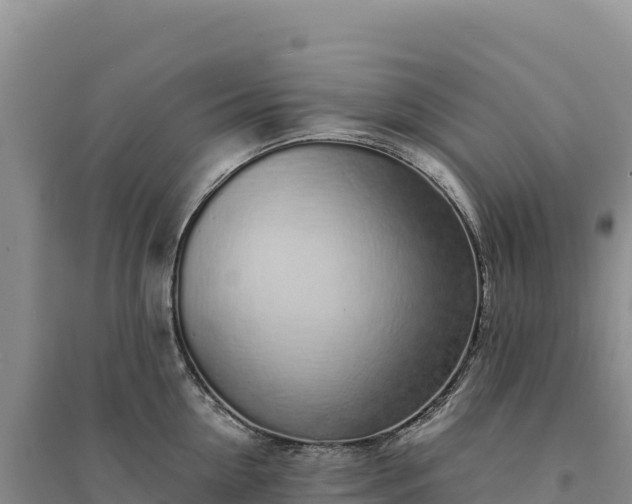 X0000094360954200711091512
