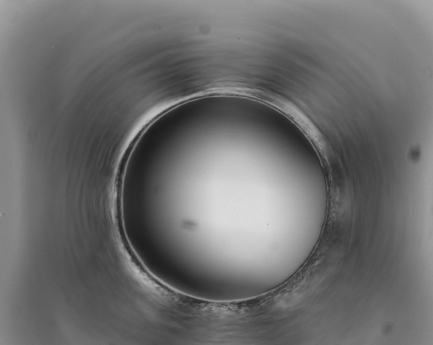 X0000094360955200711091512