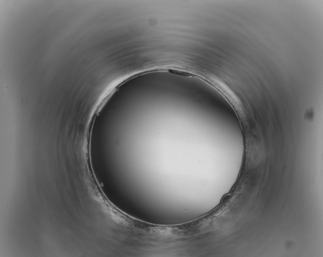 X0000094360956200711091512