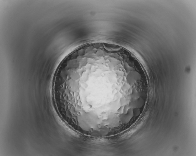 X0000094360957200711091512