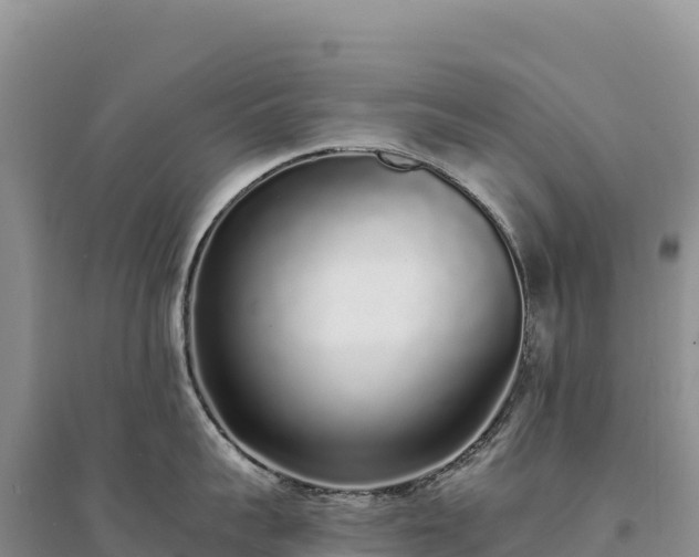 X0000094360959200711091512