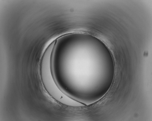 X0000094360960200711091512