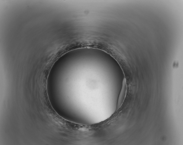 X0000094360961200711091511