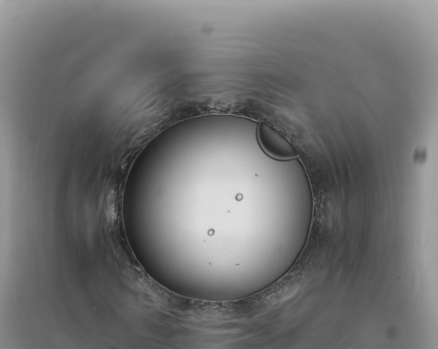 X0000094360962200711091511