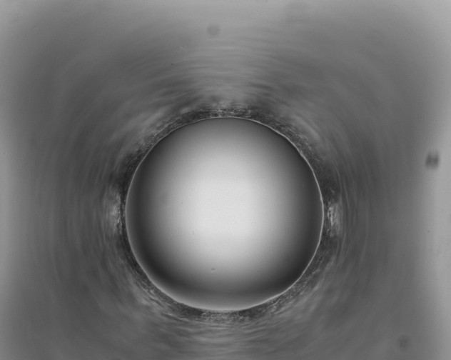 X0000094360963200711091511