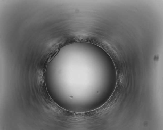 X0000094360964200711091511