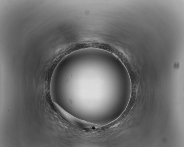 X0000094360965200711091511