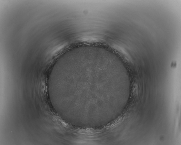 X0000094360966200711091511