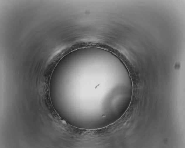 X0000094360967200711091511