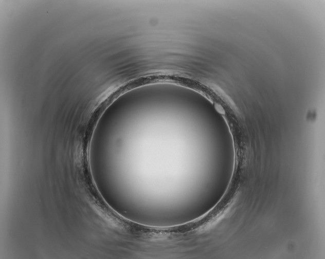 X0000094360969200711091511