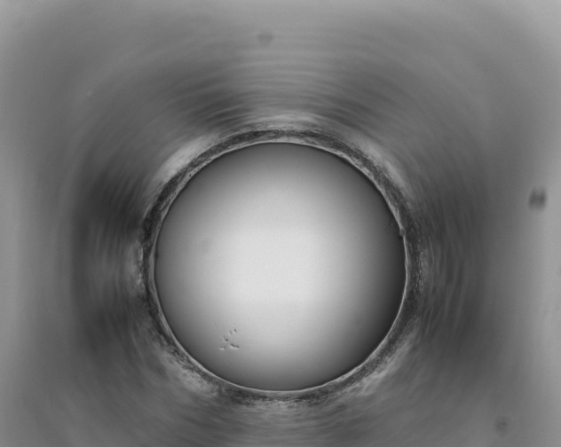 X0000094360970200711091511