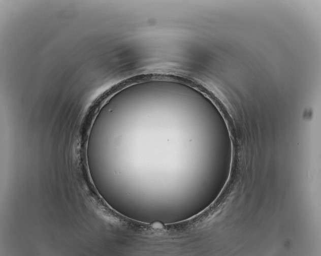 X0000094360971200711091511