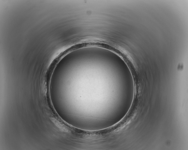 X0000094360973200711091511