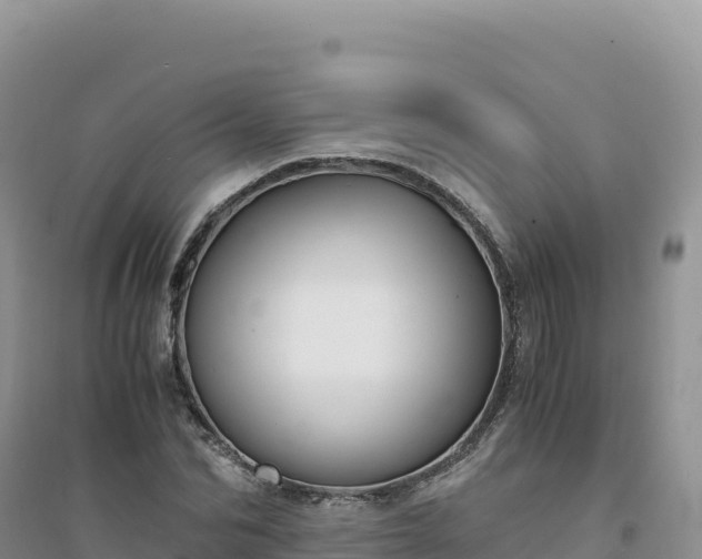 X0000094360974200711091511