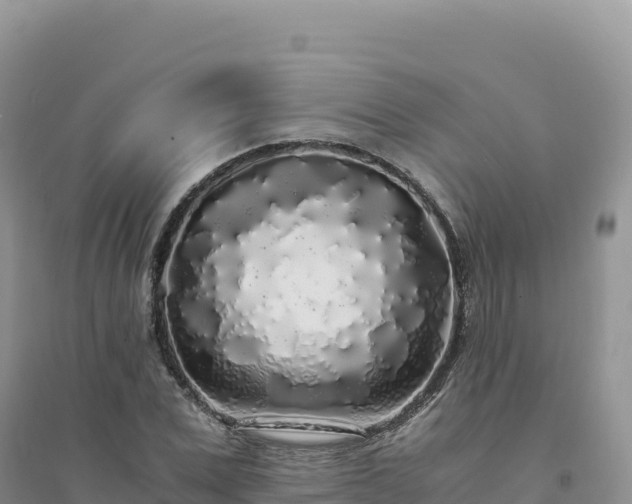 X0000094360975200711091511