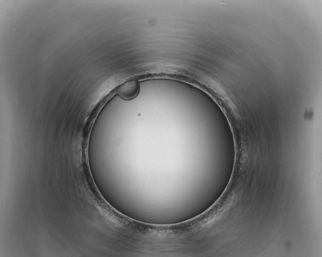 X0000094360978200711091511
