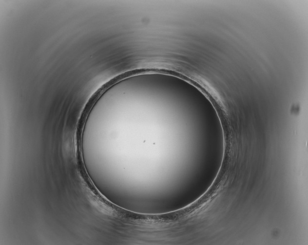 X0000094360980200711091511