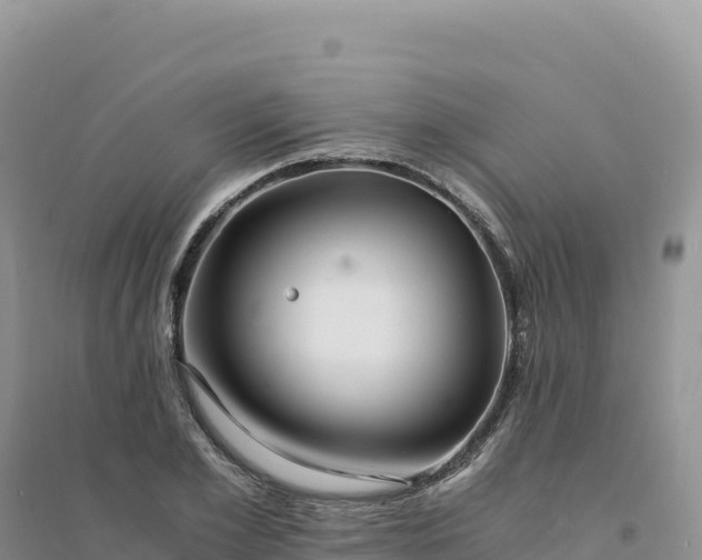 X0000094360981200711091511