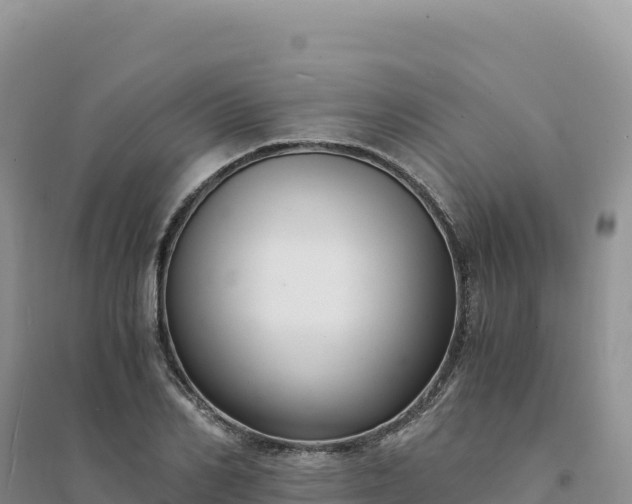 X0000094360982200711091511