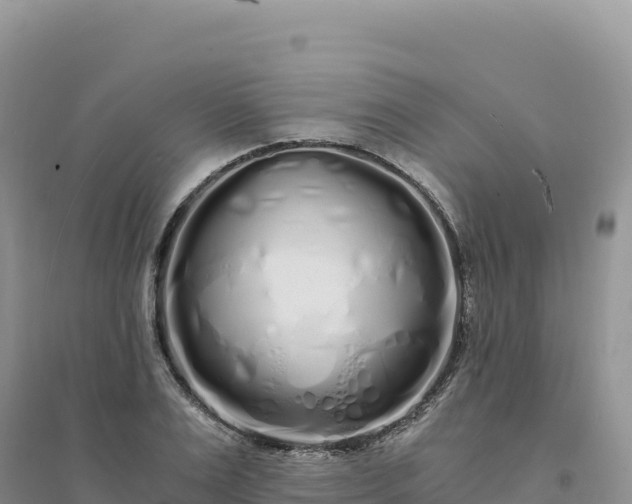 X0000094360983200711091511