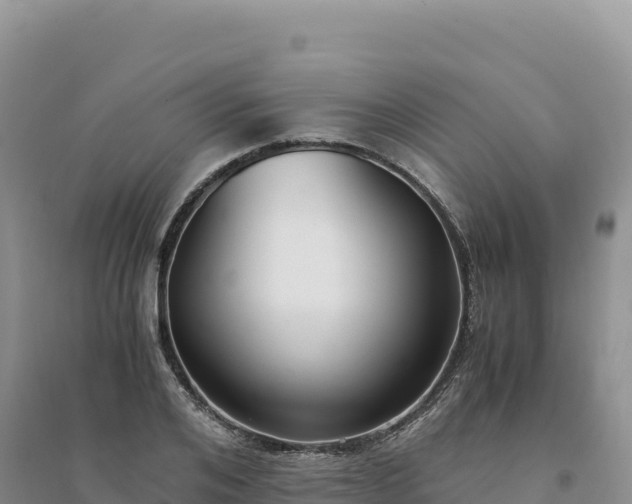 X0000094360984200711091511