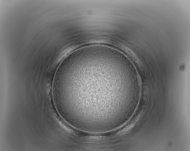 X0000094360985200711091511
