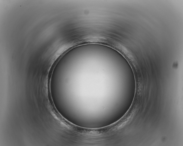 X0000094360986200711091511