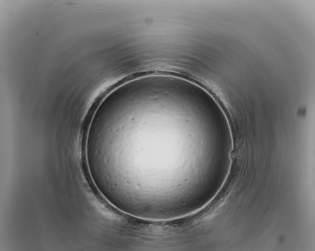 X0000094360987200711091511
