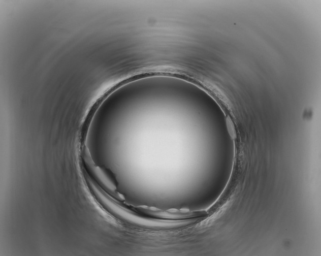 X0000094360989200711091511