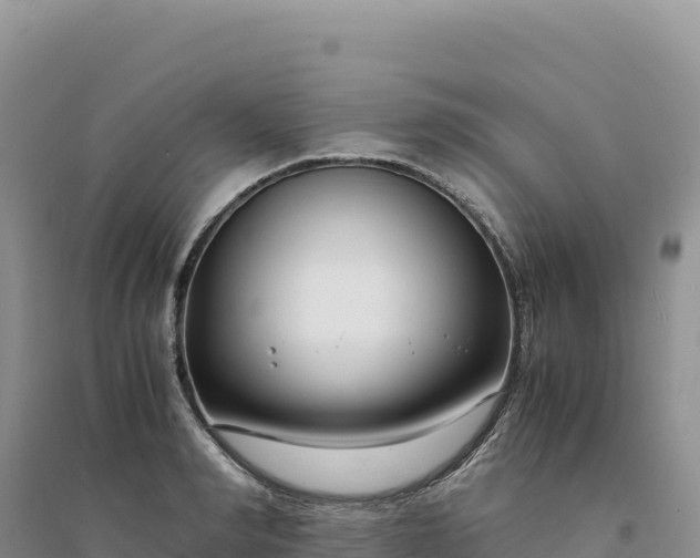 X0000094360990200711091511