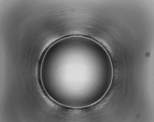 X0000094360991200711091511