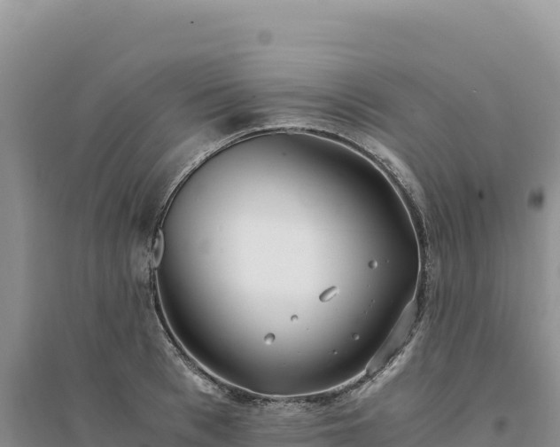 X0000094360993200711091511