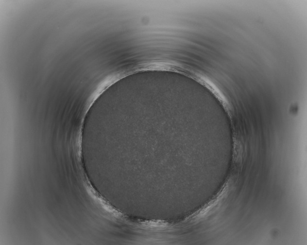 X0000094360994200711091511