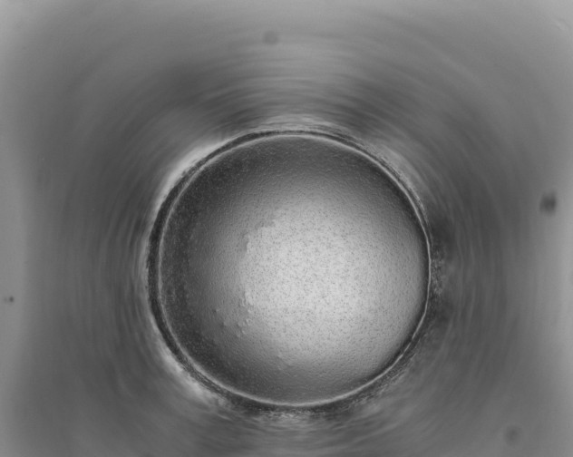X0000094360995200711091511