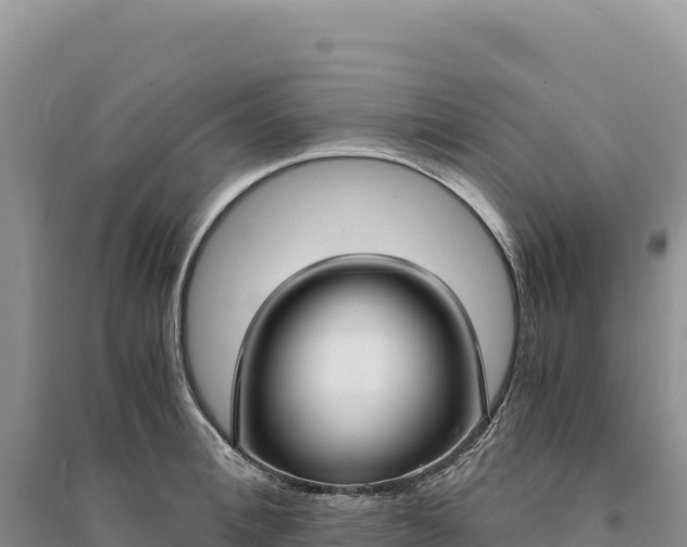 X0000094360996200711091511