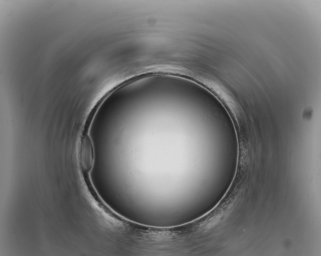 X0000094360999200711091511