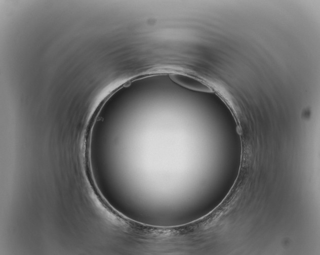 X0000094361003200711091511