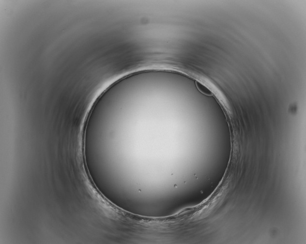 X0000094361004200711091511
