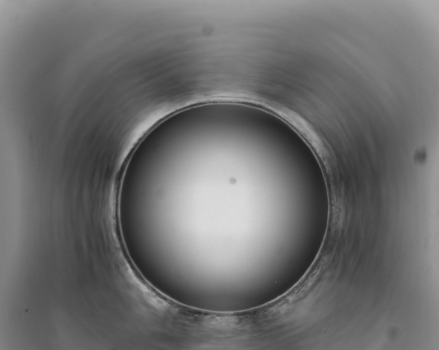 X0000094361006200711091511