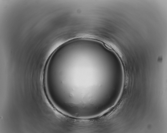 X0000094361007200711091511