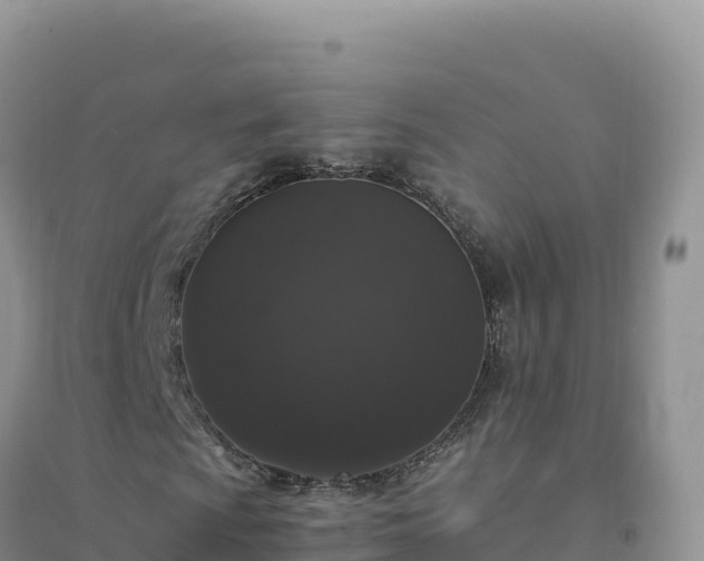 X0000094361009200711091510