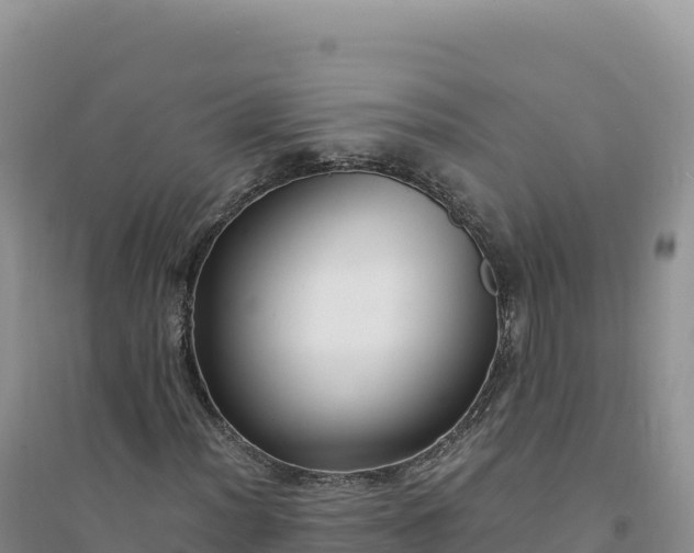 X0000094361012200711091510