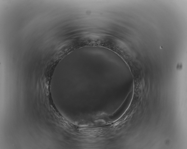 X0000094361013200711091510