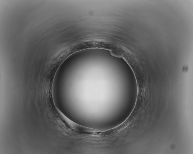 X0000094361014200711091510
