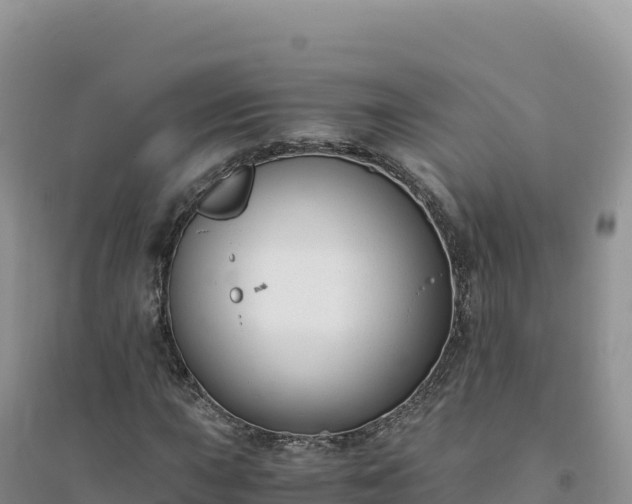 X0000094361015200711091510