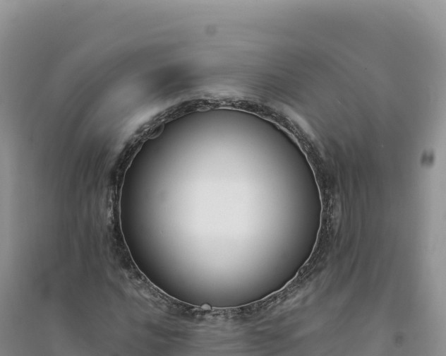 X0000094361016200711091510