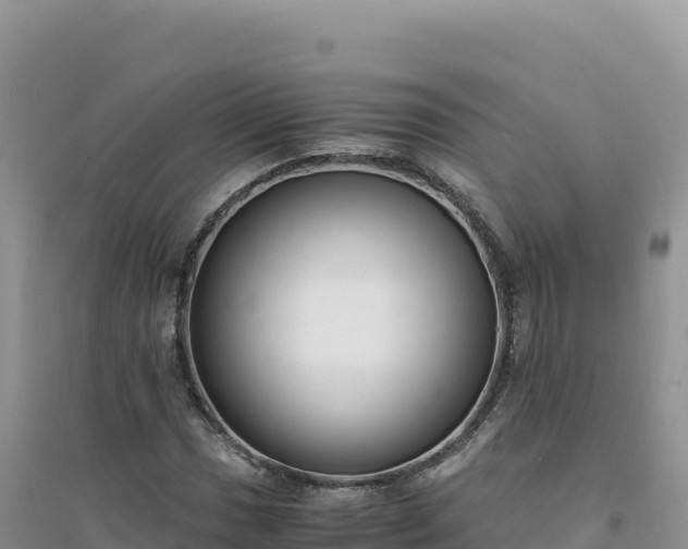 X0000094361017200711091510