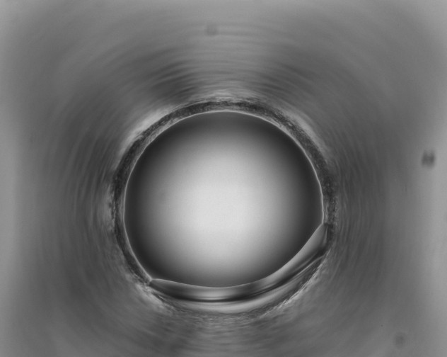 X0000094361018200711091510